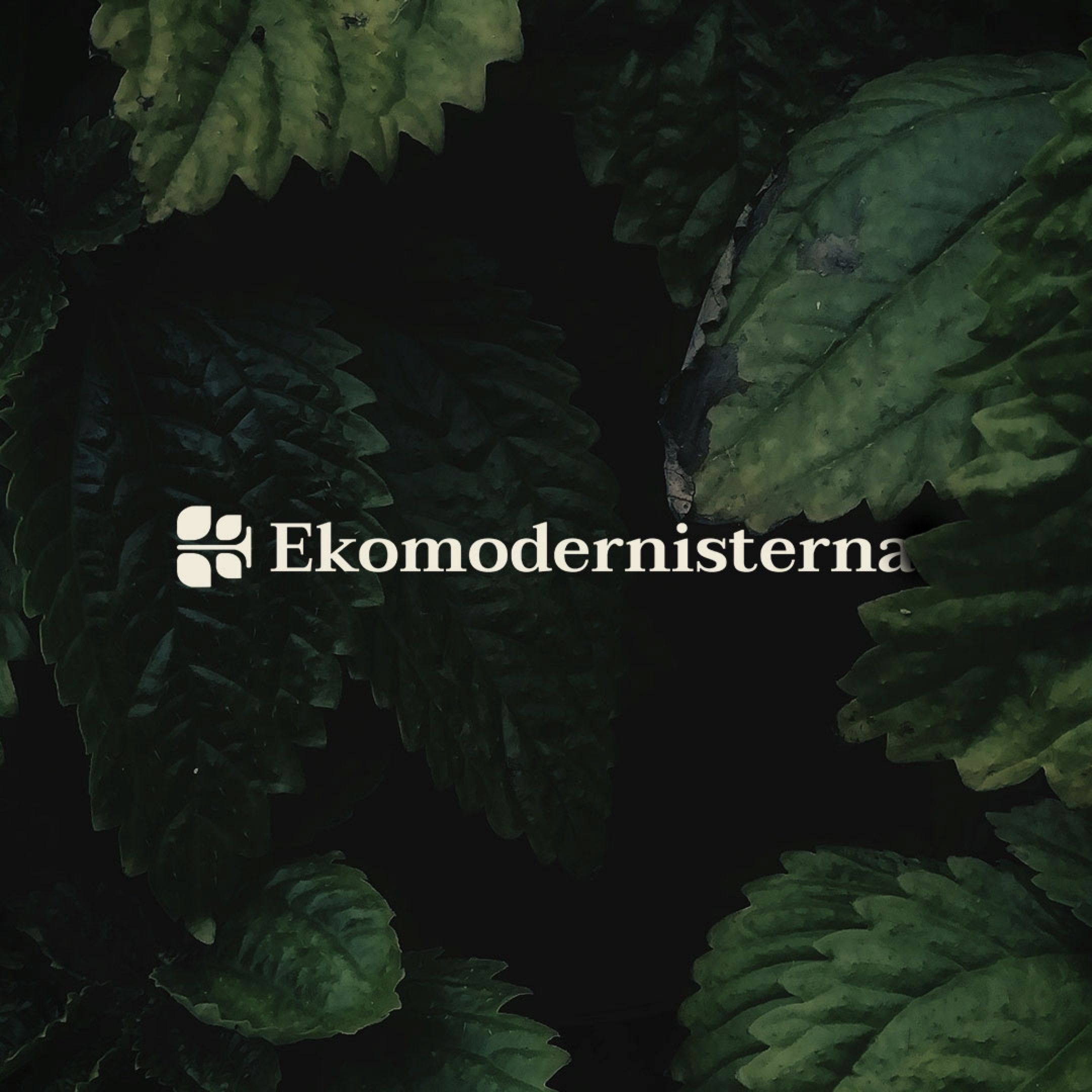 01.2.Ekomodernisterna